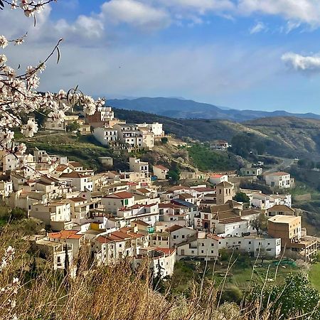 Casa Amigos Sorvilan- La Palmera Dış mekan fotoğraf