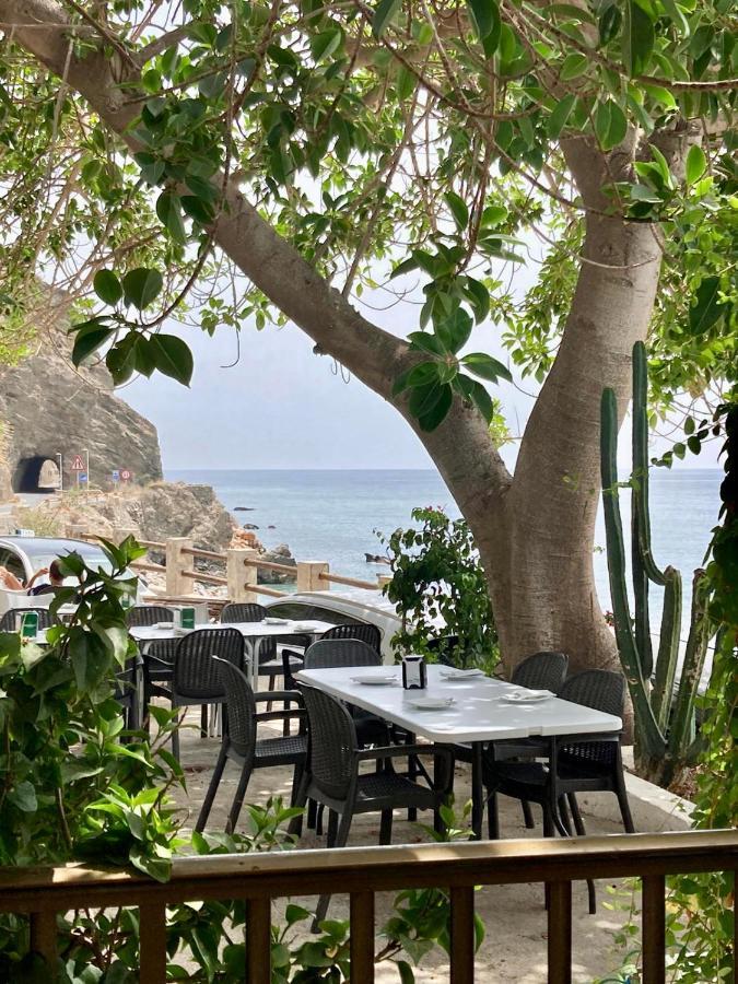 Casa Amigos Sorvilan- La Palmera Dış mekan fotoğraf