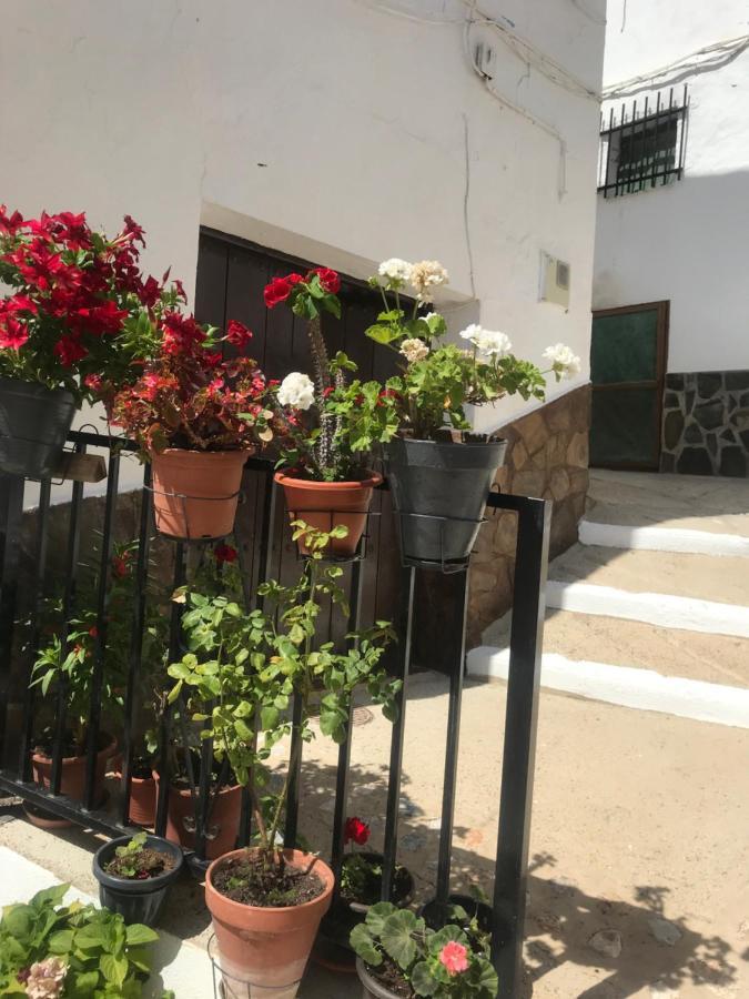 Casa Amigos Sorvilan- La Palmera Dış mekan fotoğraf