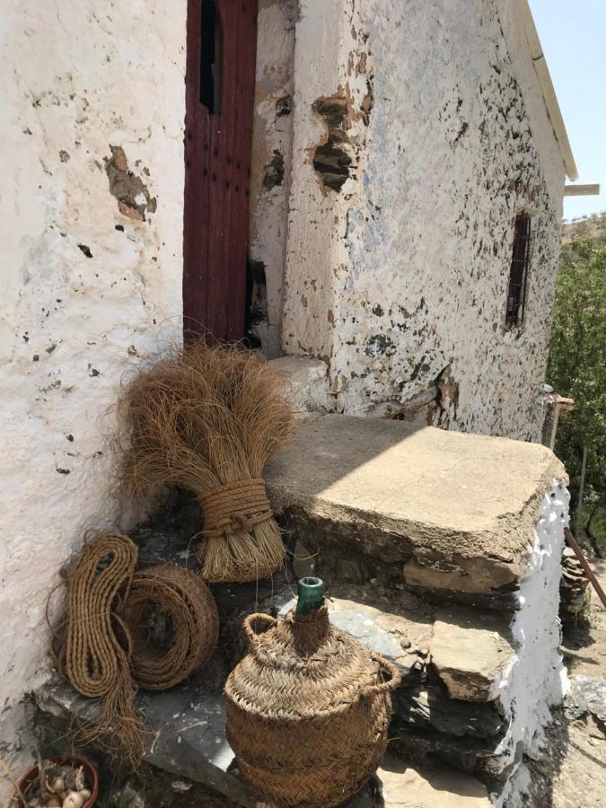 Casa Amigos Sorvilan- La Palmera Dış mekan fotoğraf