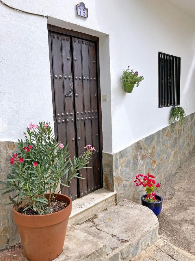 Casa Amigos Sorvilan- La Palmera Dış mekan fotoğraf