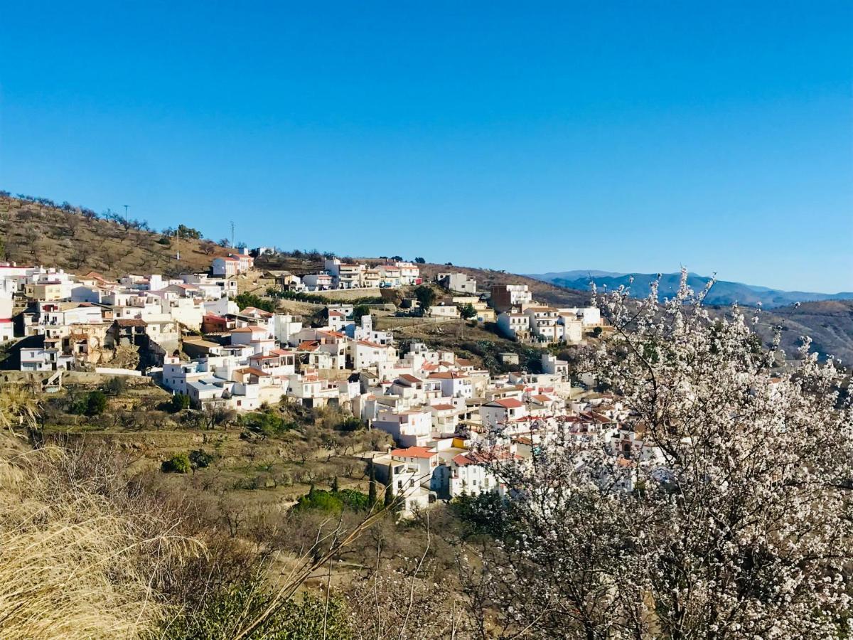 Casa Amigos Sorvilan- La Palmera Dış mekan fotoğraf