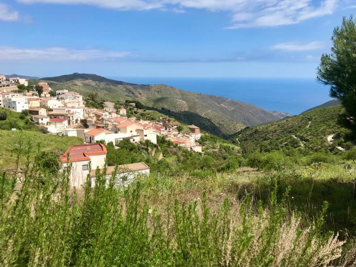 Casa Amigos Sorvilan- La Palmera Dış mekan fotoğraf