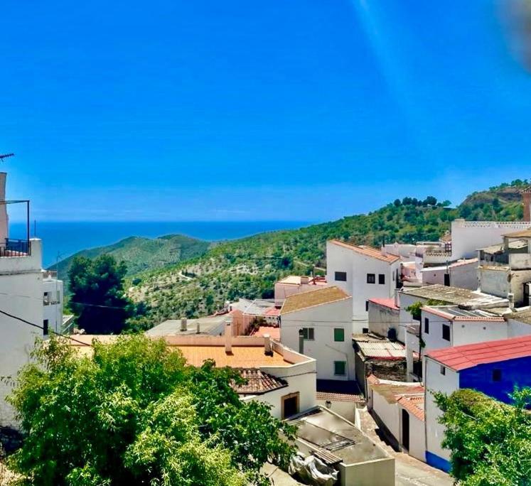 Casa Amigos Sorvilan- La Palmera Dış mekan fotoğraf