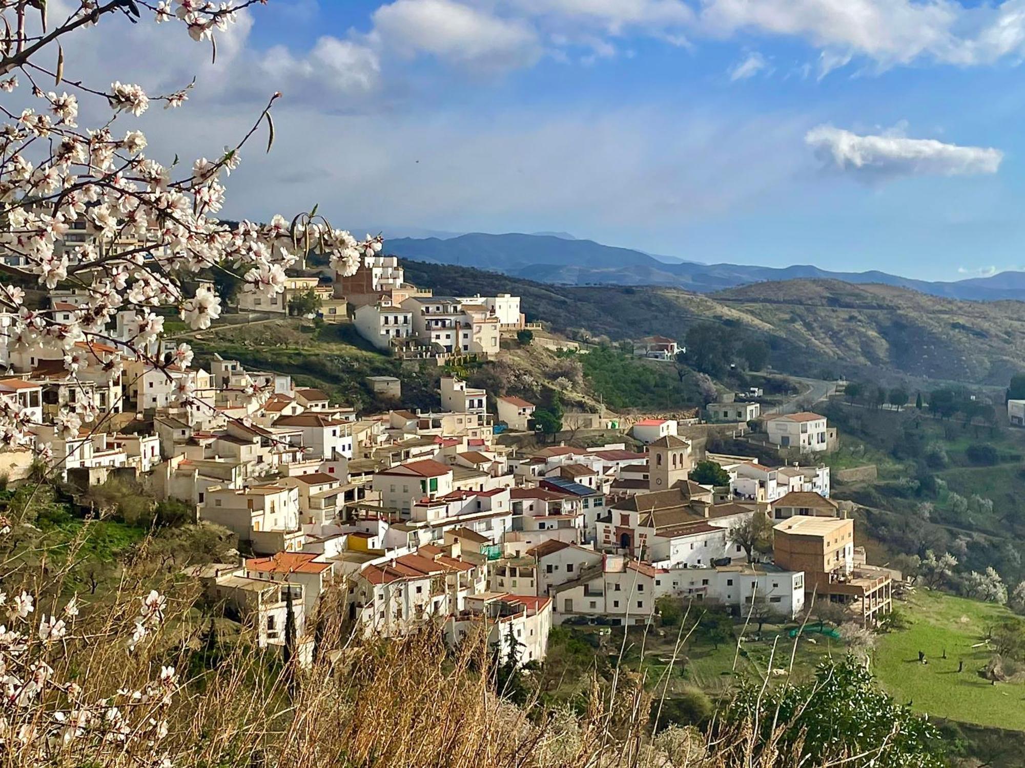 Casa Amigos Sorvilan- La Palmera Dış mekan fotoğraf