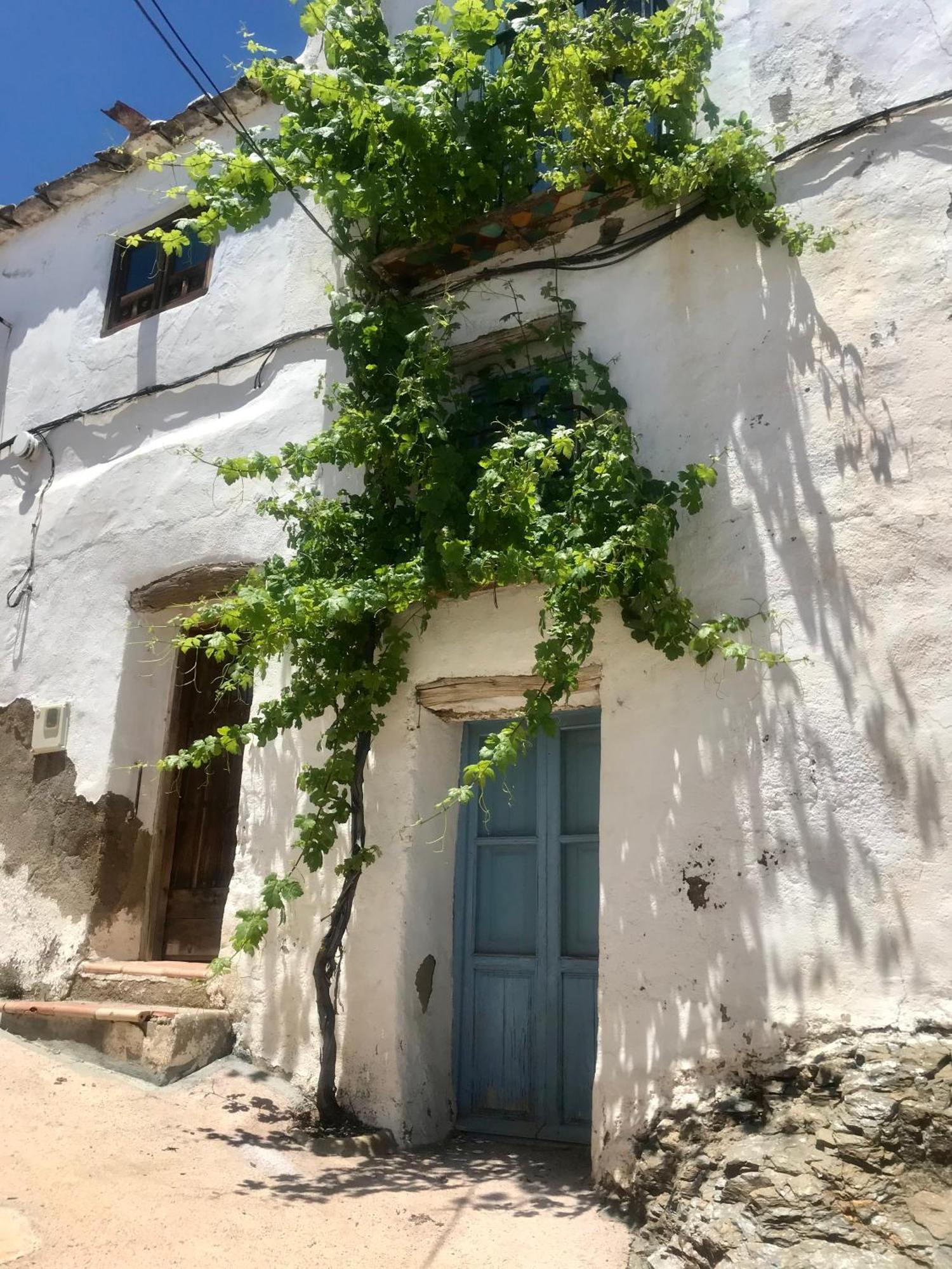 Casa Amigos Sorvilan- La Palmera Dış mekan fotoğraf