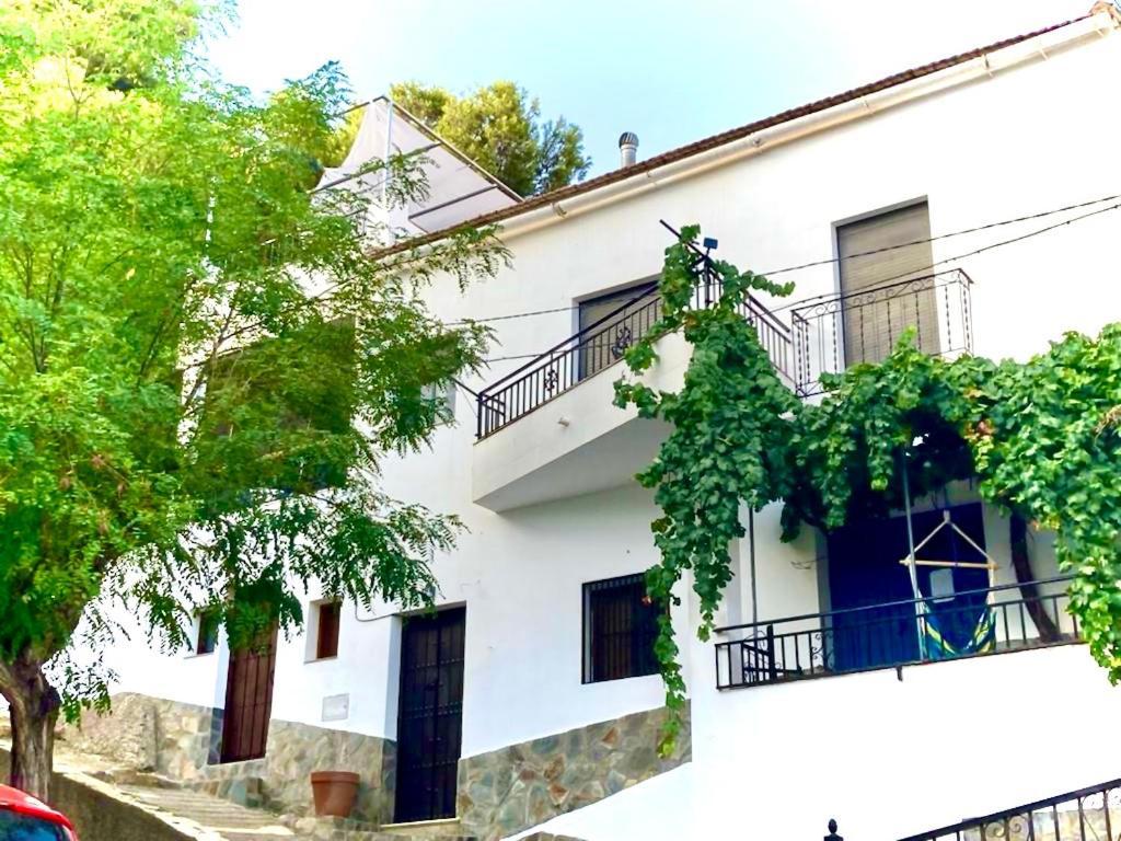 Casa Amigos Sorvilan- La Palmera Dış mekan fotoğraf